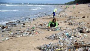 Plastic waste littering the coast