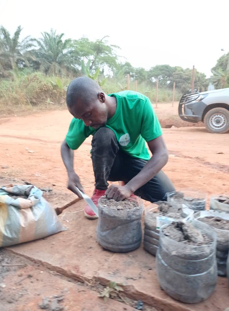 Perforation des bouteilles plastiques