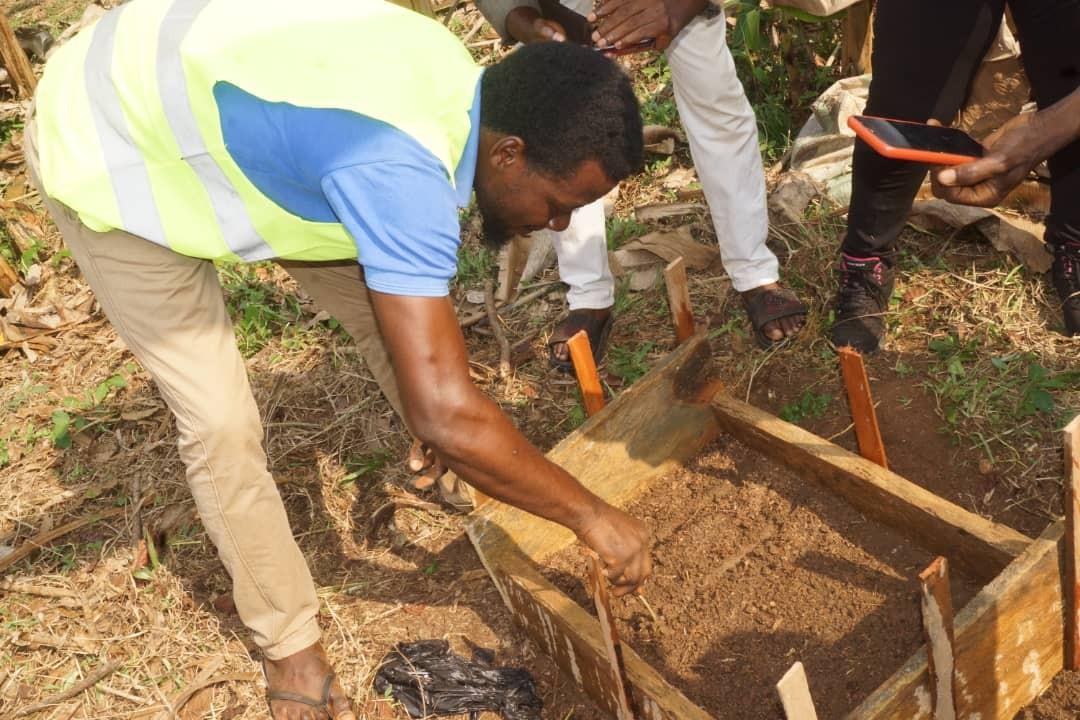 Mise en place d'une pépinière de piment bio