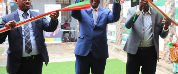 600894735_1316121227196705_6741632707419850616_n