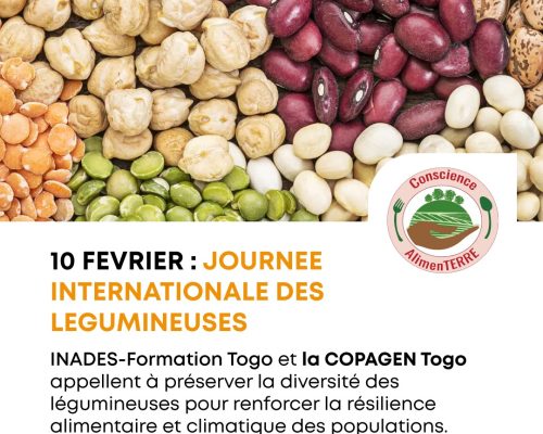 Affiche d'illustration- journée des légumineuses