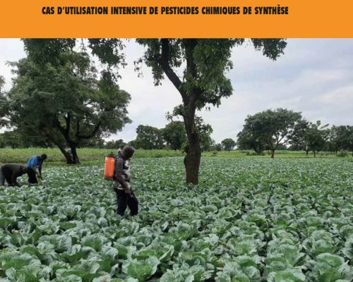 Couv-Synthèse-Rapport-d'Etudes_Pesticides_CCA_2023-BF-1