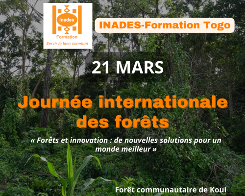 Journée des mangroves 26 juillet