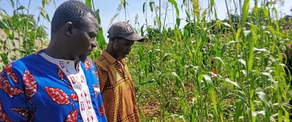 Les participants ont été convaincu des résultats présentés sur l'expérience de l’association culturale sorgho-niébé