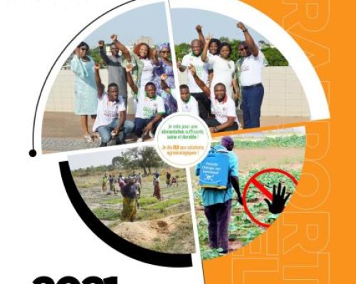 Rapport marketing 2021_Inades-Formation Togo-R