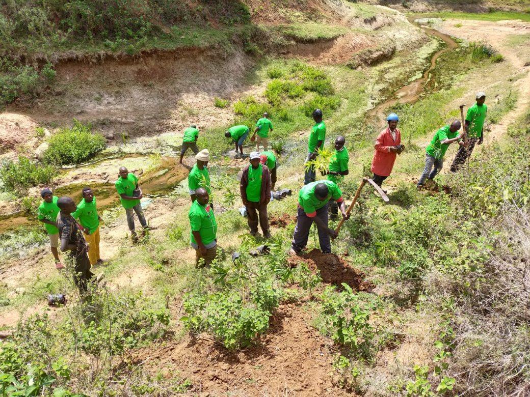 Rehabilitation of Ikolya River during tree planting campaign
