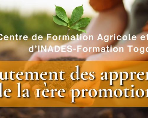 White-and-Brown-Simple-Agriculture-Video-(01)