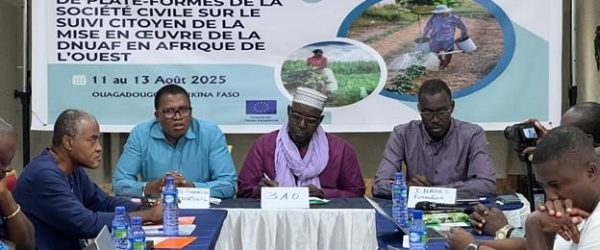 atelier DNUAF Burkina- sept 2025
