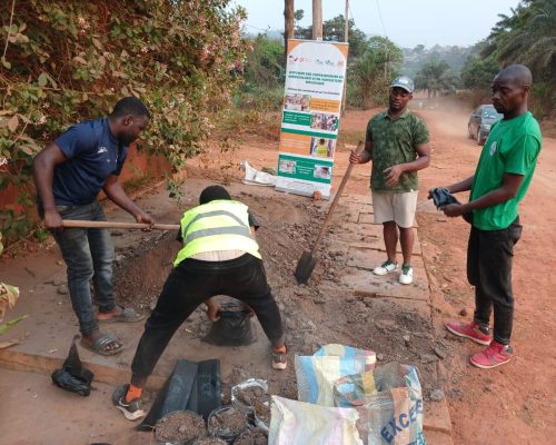 Préparation et mise en sachet/bac du terreau
