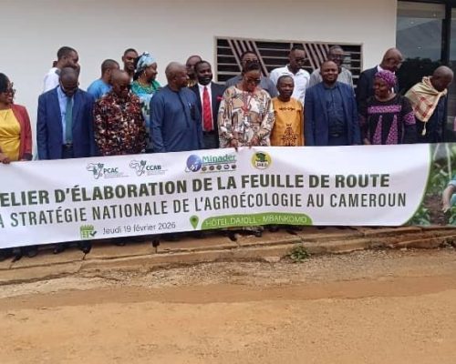 photo de famille atelier sur la strategie