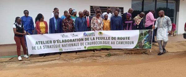 photo de famille atelier sur la strategie