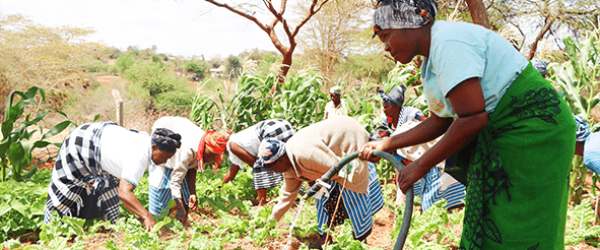 web-A-group-of-women-engage-in-horticultural-farming-using-water-from-the-Kwa-Kilungu-borehole